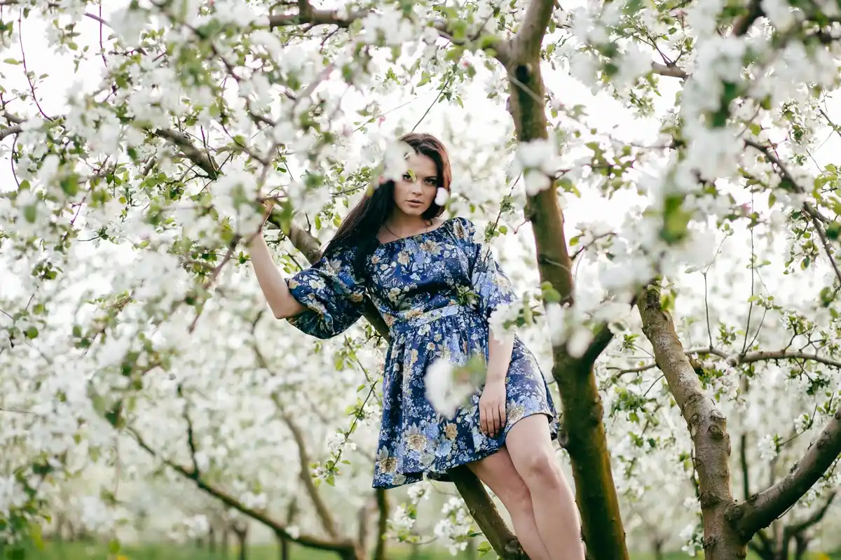 apple tree backyard netherlands spring blossom