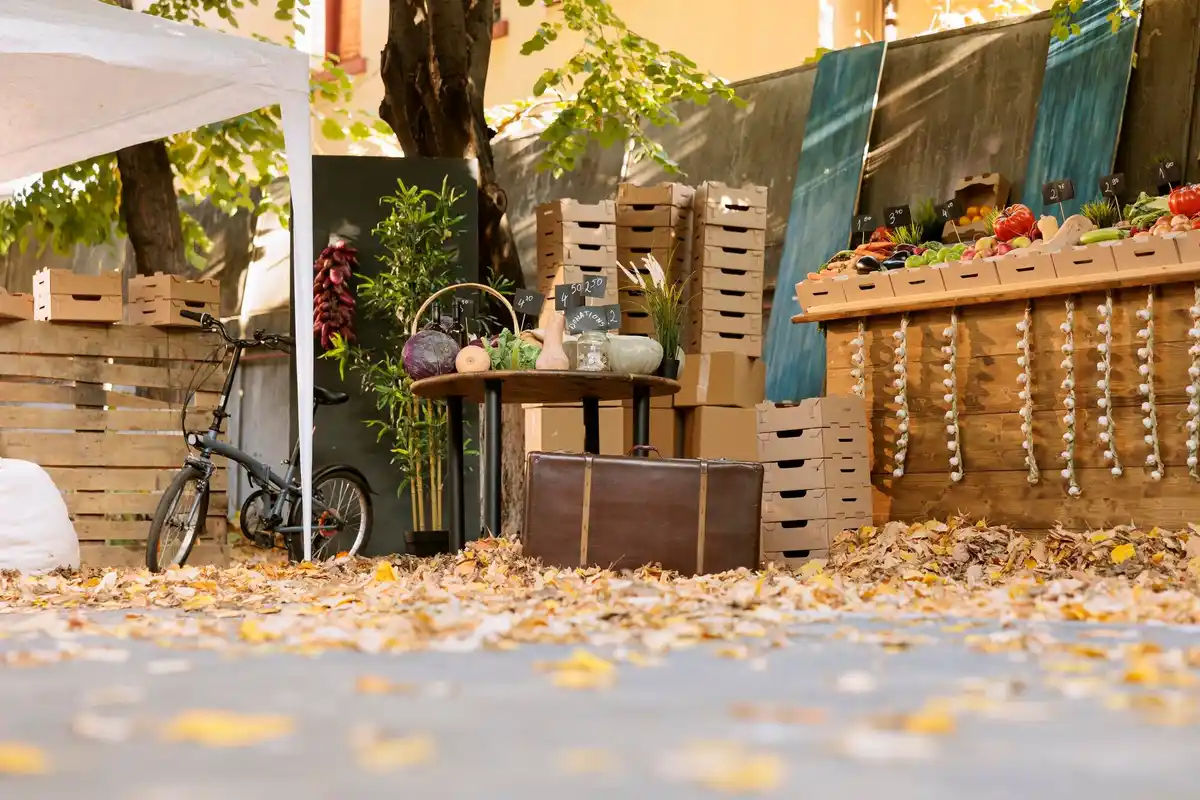 Dutch backyard with pallet furniture and flowers