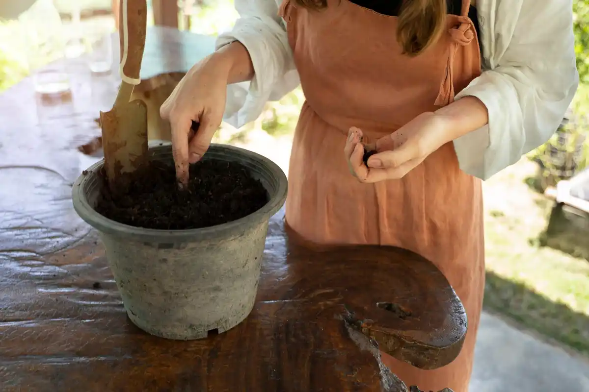 garden soil testing kit fruit trees