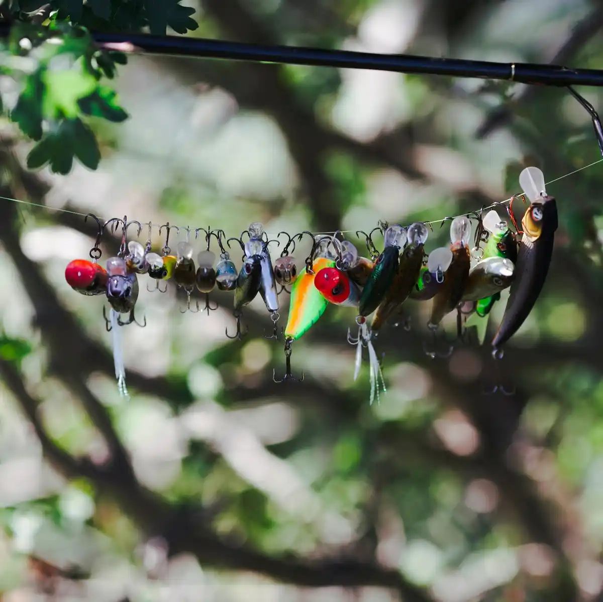 bird-proof garden berry netting protection