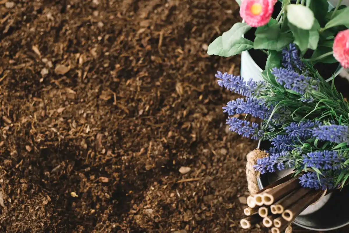 homemade compost close-up fresh soil garden
