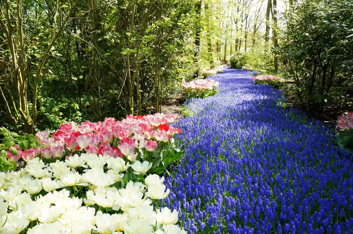 magical garden backyard netherlands