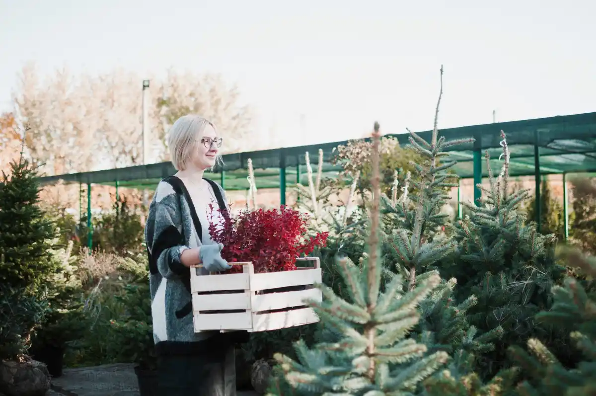 raised garden beds ideas netherlands