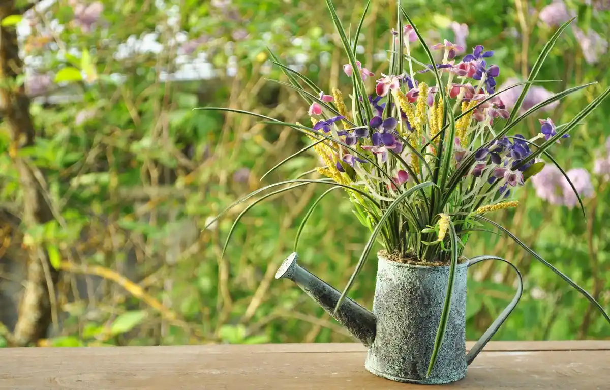 Dutch garden design with variety of plants in harmony