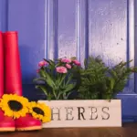 colorful Dutch garden cozy corner plants wooden bench