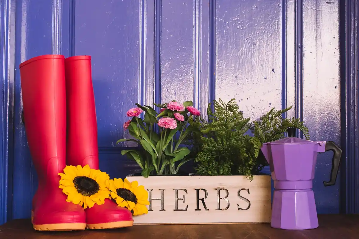 Dutch backyard with colorful plants and simple decorations