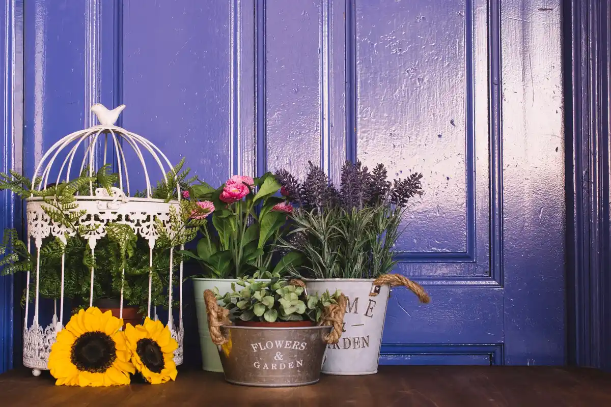 Cozy Dutch garden corner with wooden bench and colorful flower pots