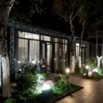 cozy urban garden with plants and lights outdoor netherlands