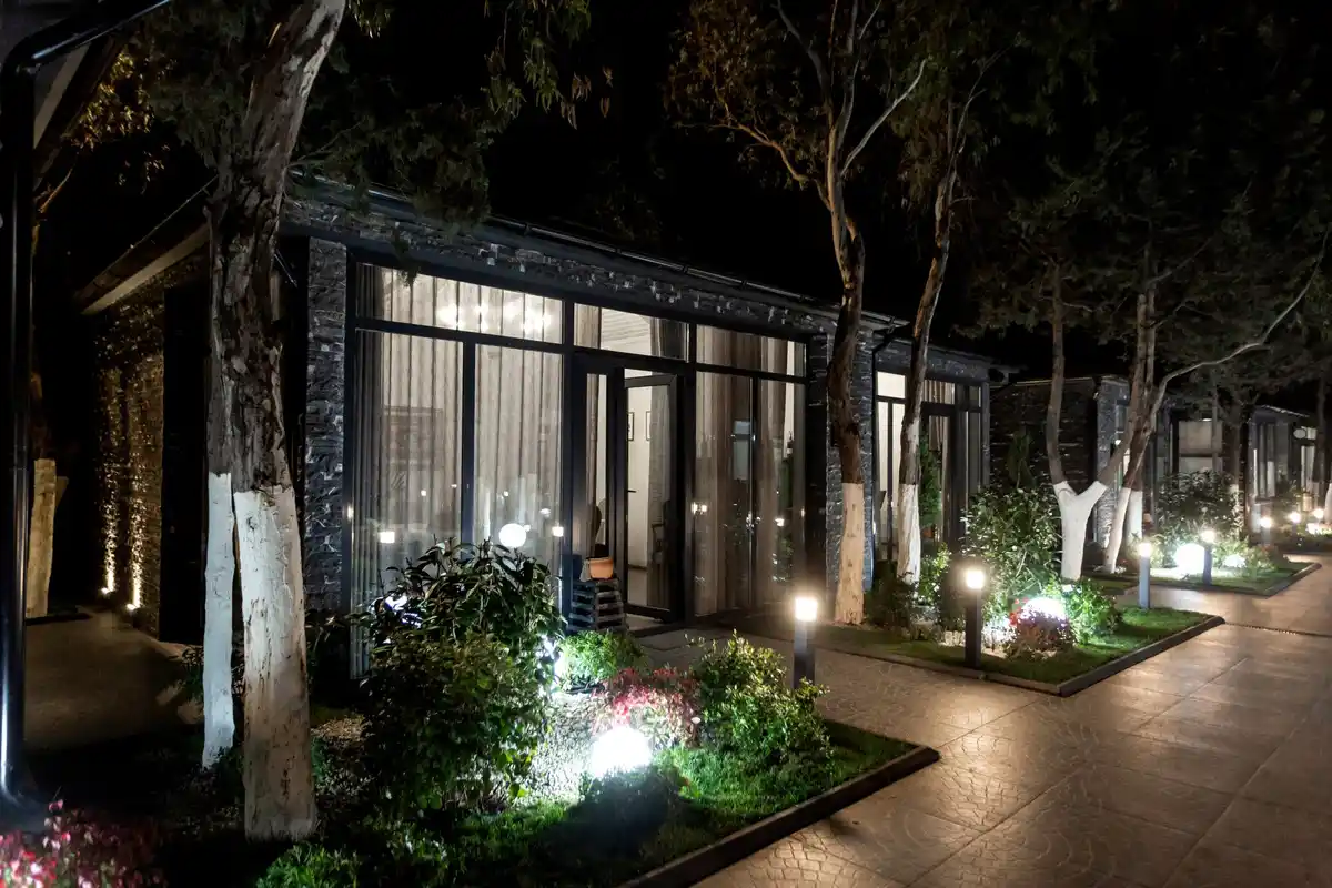 cozy urban garden with plants and lights outdoor netherlands