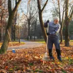 seasonal garden maintenance netherlands