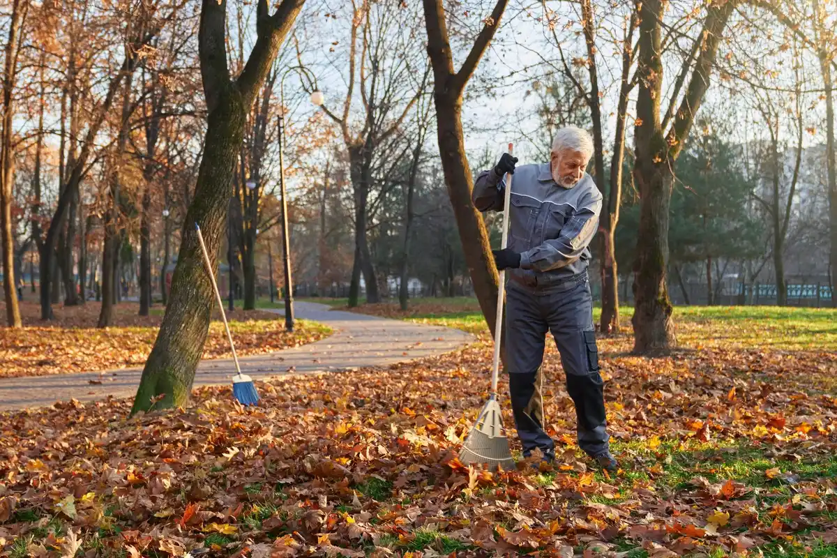 seasonal garden maintenance netherlands