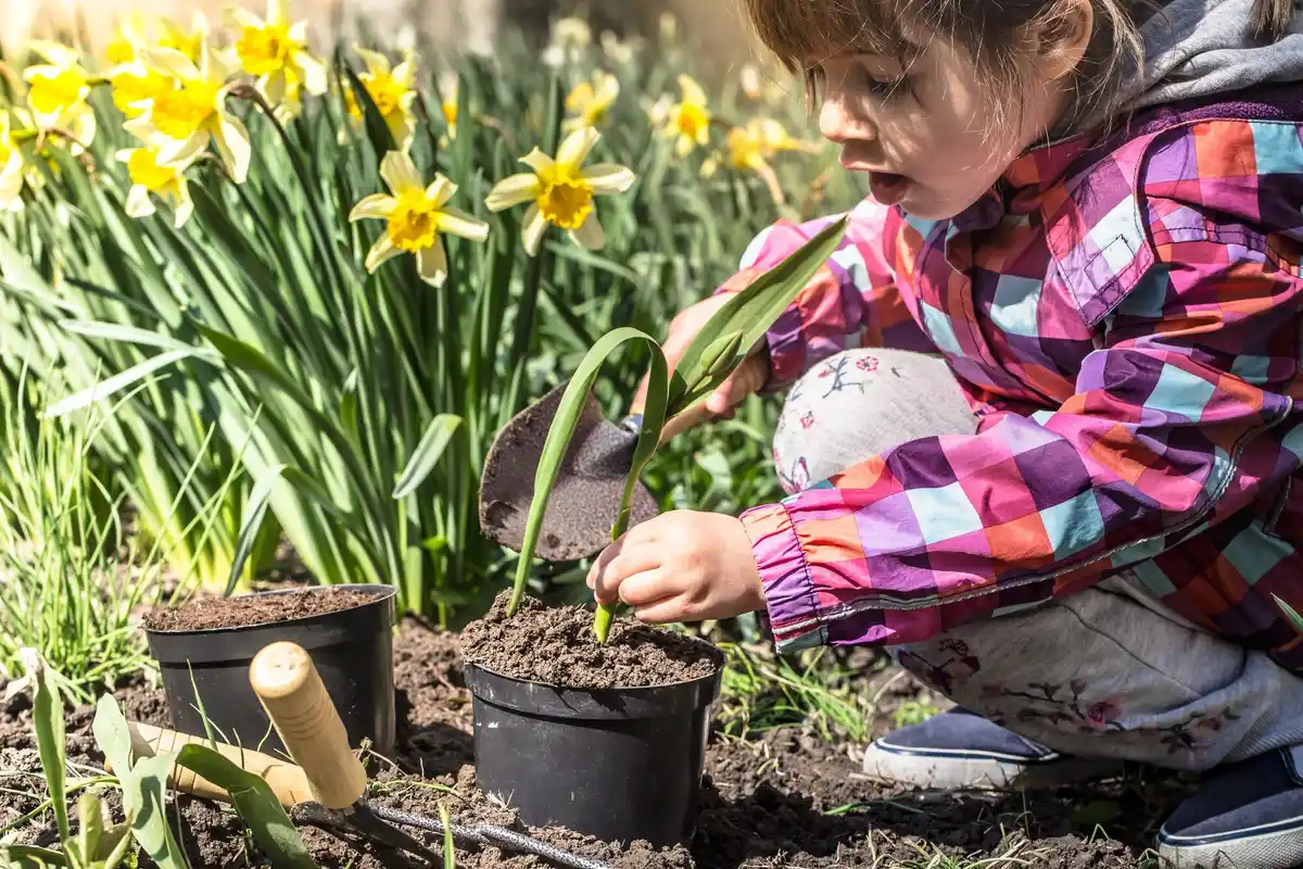spring garden preparation netherlands