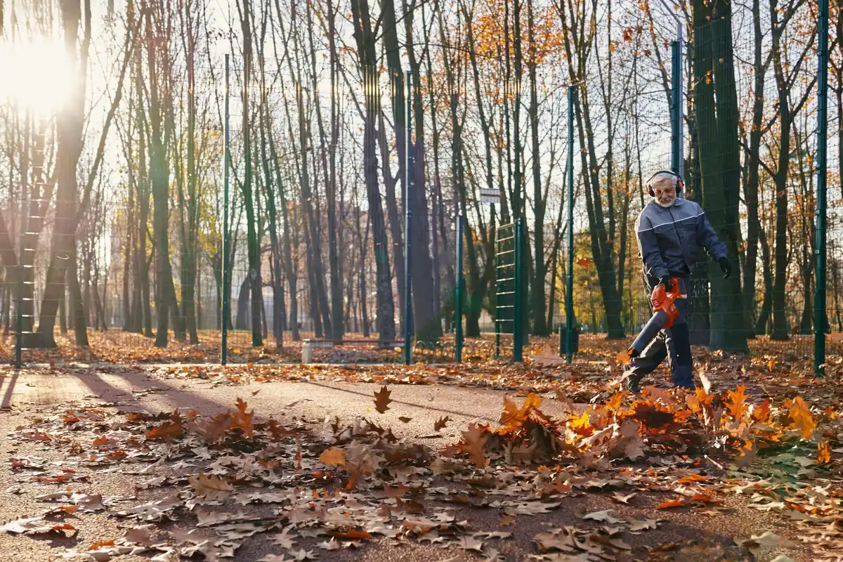 autumn garden cleanup and preparation netherlands