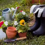 Dutch garden tools in backyard