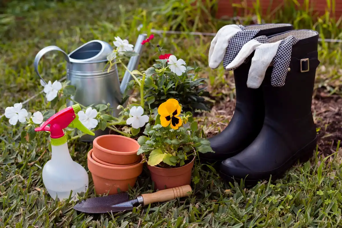 Dutch garden tools in backyard
