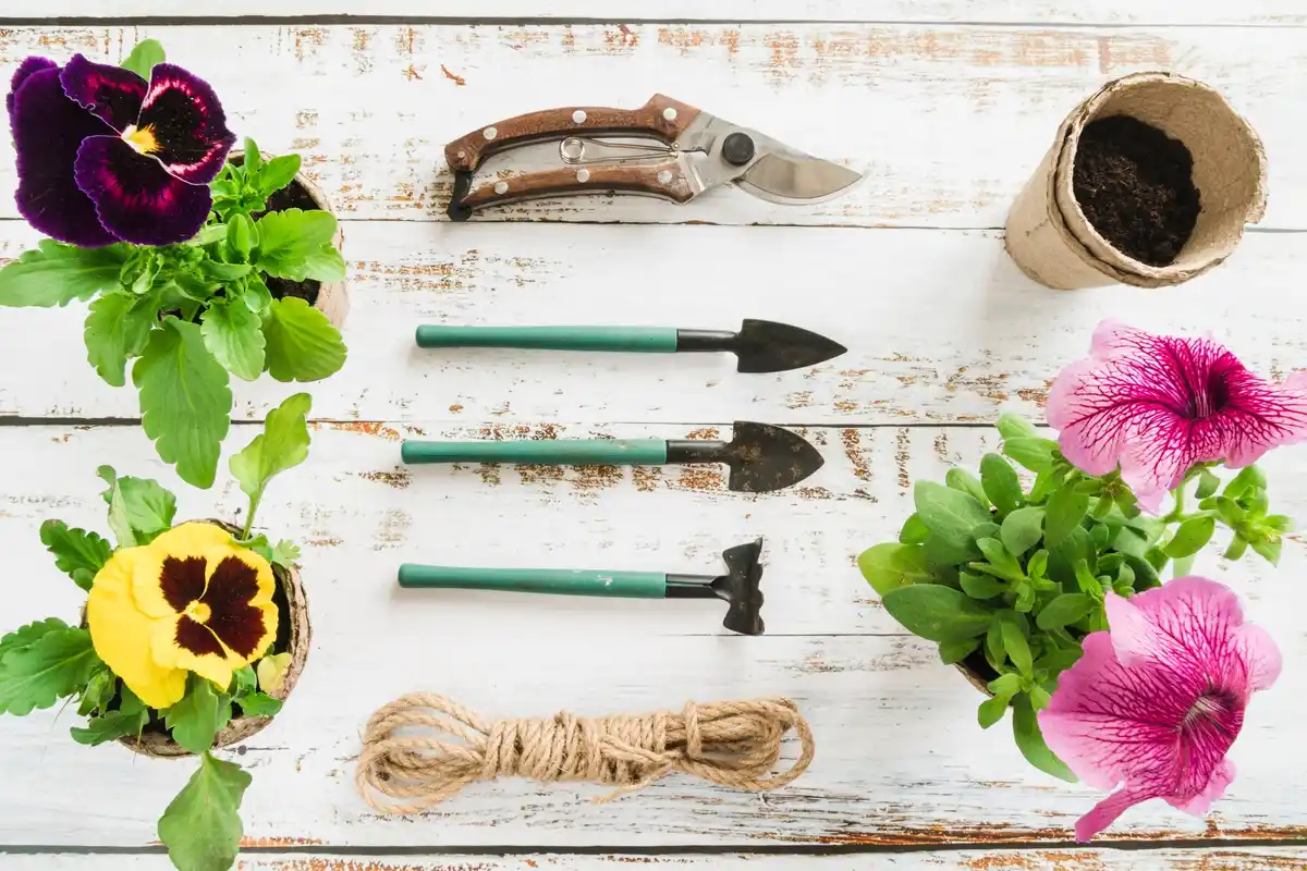 garden tools small urban garden