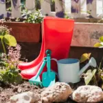 rusty and clean gardening tools maintenance outdoors