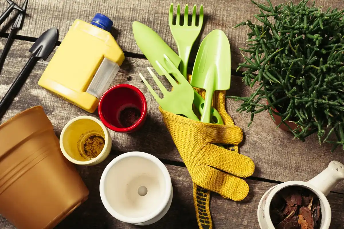 budget affordable garden tools 2024 Netherlands backyard