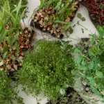 small urban garden transformation vertical plants