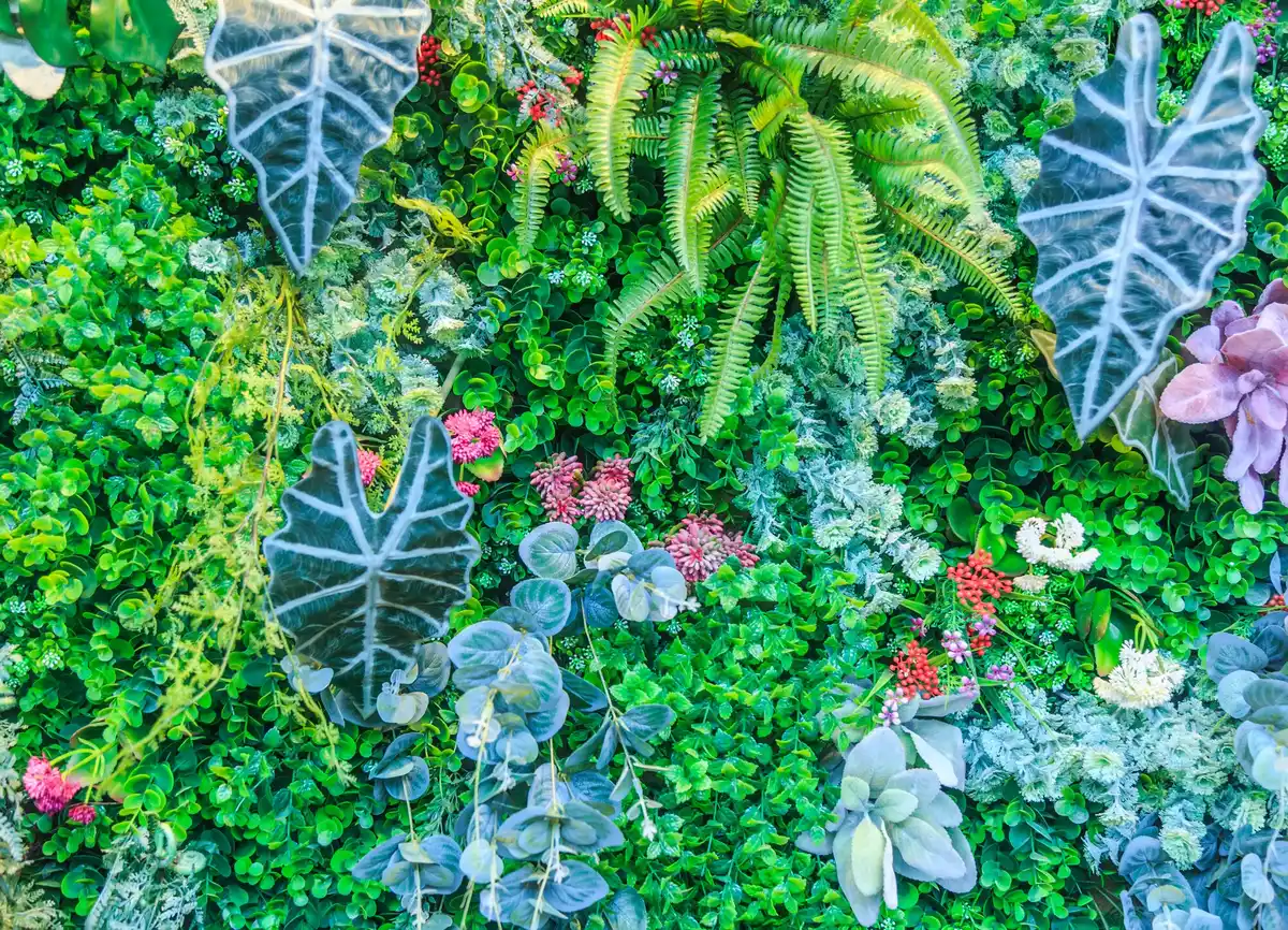 vertical garden in small backyard