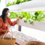 urban balcony vegetable garden pots fresh harvest