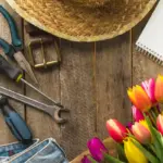 essential garden tools spring Netherlands