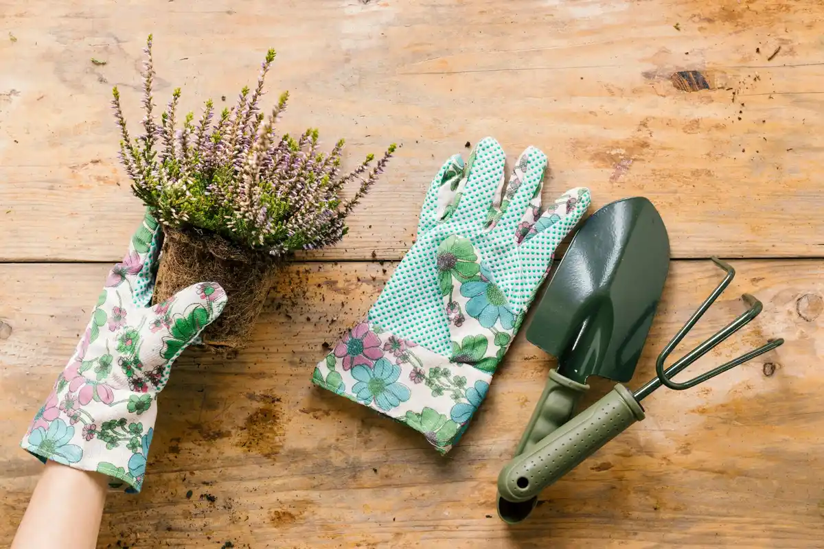garden tools spring gardening Netherlands