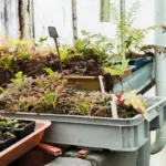 container plants drying prevention watering slow drip system