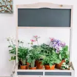 small urban balcony vegetable garden with herbs and pots