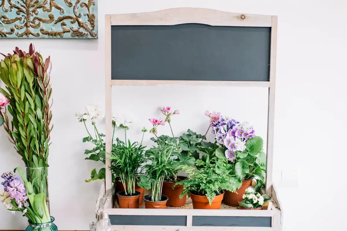 small urban balcony vegetable garden with herbs and pots