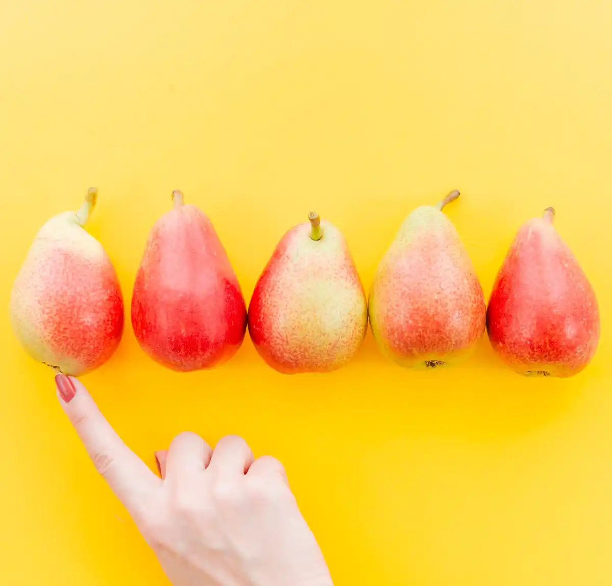 hand picking ripe pear from tree