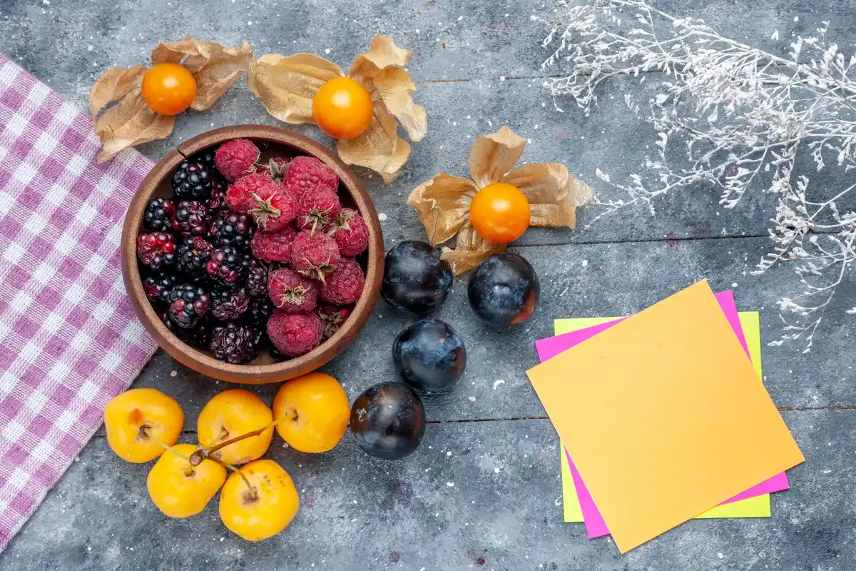 Dutch garden with blueberries and raspberries
