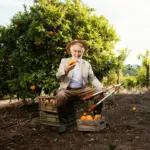 lush fruit garden backyard harvest Netherlands