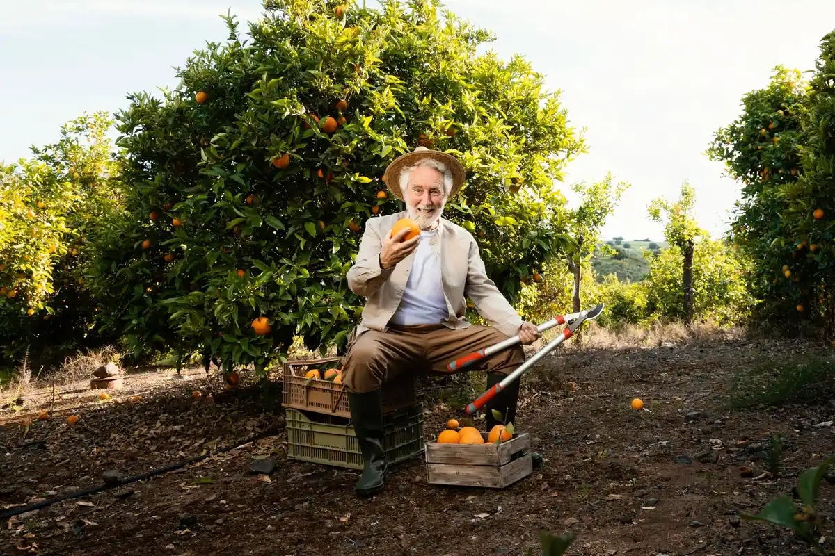 lush fruit garden backyard harvest Netherlands
