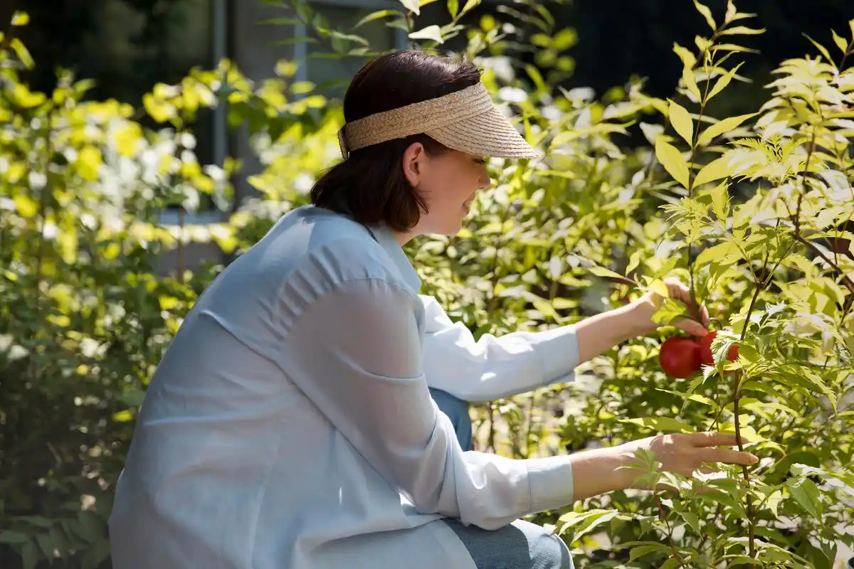 microclimate fruit trees backyard
