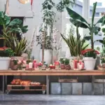 colorful balcony garden plants lush greenery