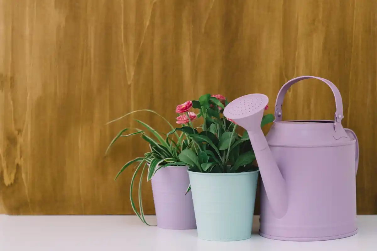 balkon garden plants vibrant colors