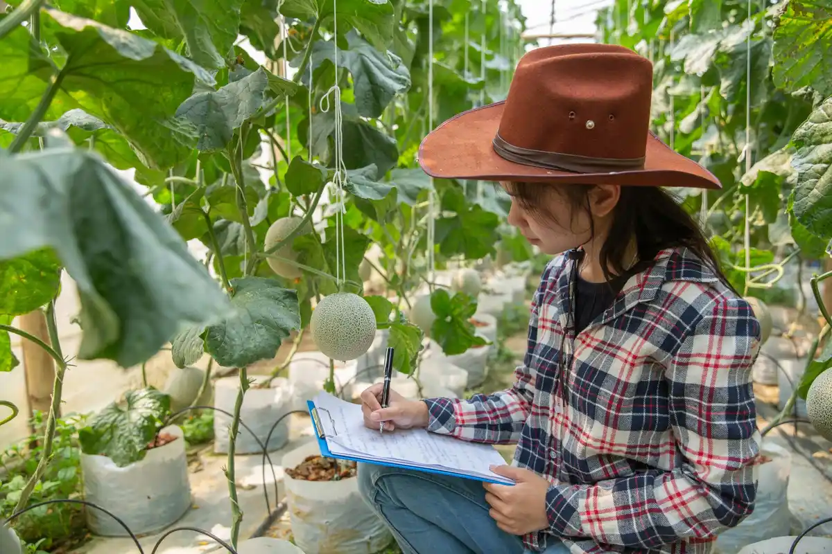 Planning vegetable garden planting