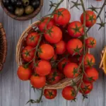 Dutch garden ripe tomatoes summer