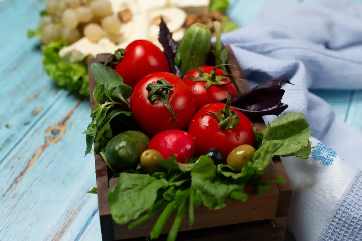 Dutch garden ripe tomatoes summer