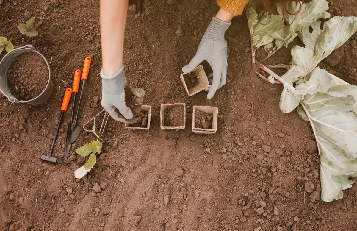 moestuin bodem verbeteren nederland