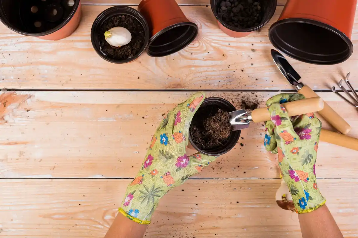 compost voorbereiden moestuin nederland