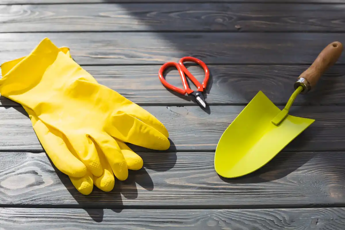 garden tools cleaning