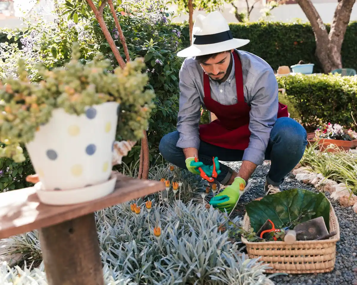 person using gardening tools in garden