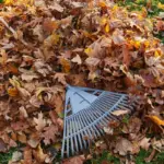 electric garden tools lawn mower autumn