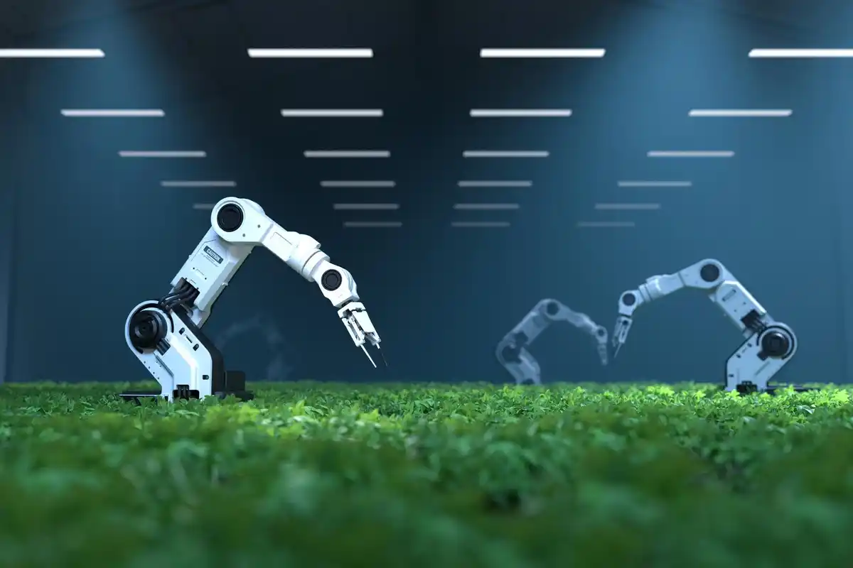 robot lawn mower automated gardening