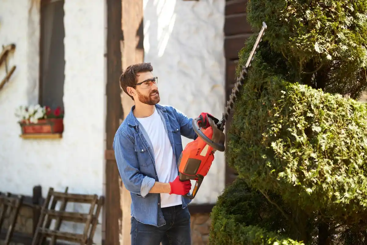 electric garden tools in use Netherlands
