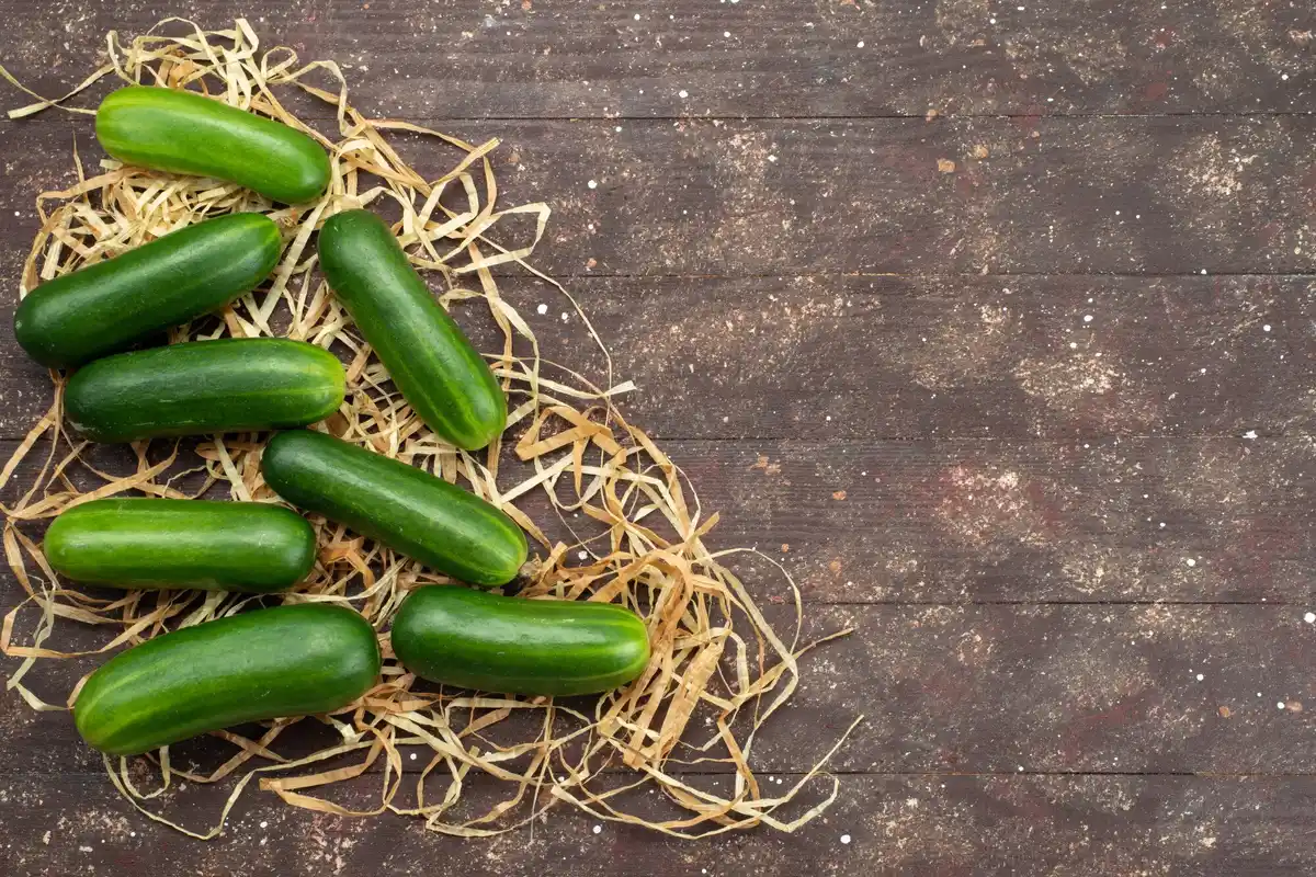Vertical gardening tomato cucumbers small space