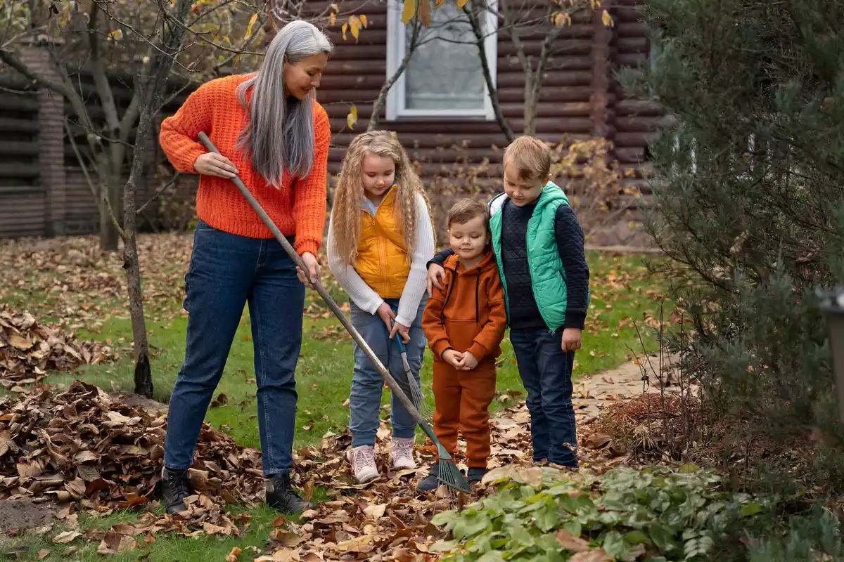 preparing vegetable garden soil autumn netherlands