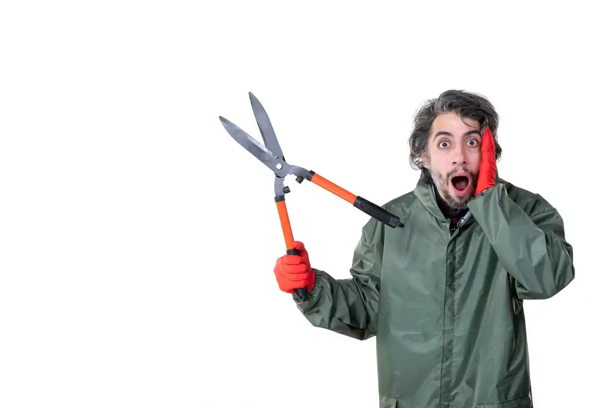 battery powered pruning shears garden work